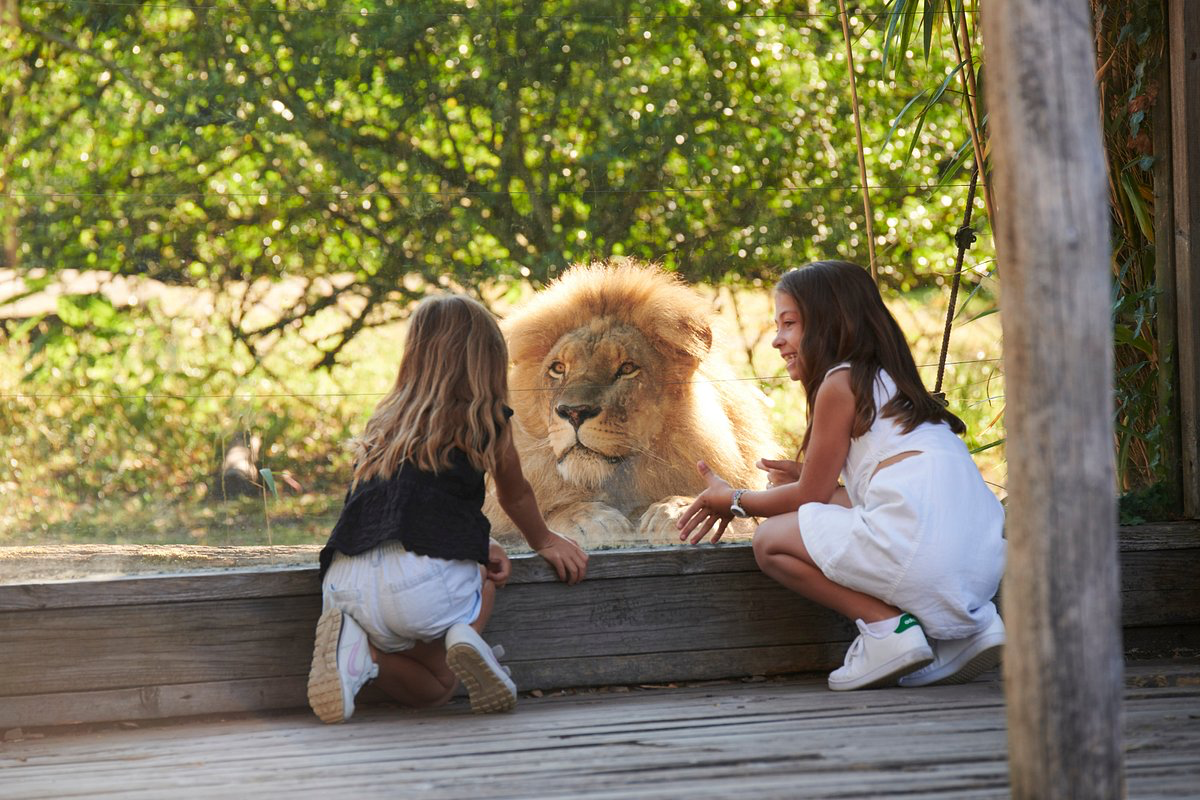 Le zoo de Bordeaux-Pessac